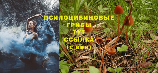 jwh Алексеевка