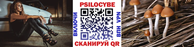 Галлюциногенные грибы Psilocybine cubensis  Гвардейск 