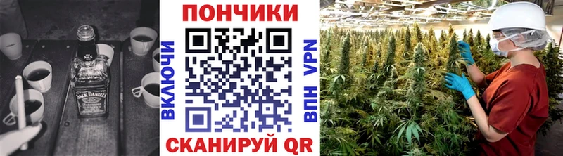 Бошки марихуана планчик  МЕГА ONION  Гвардейск 